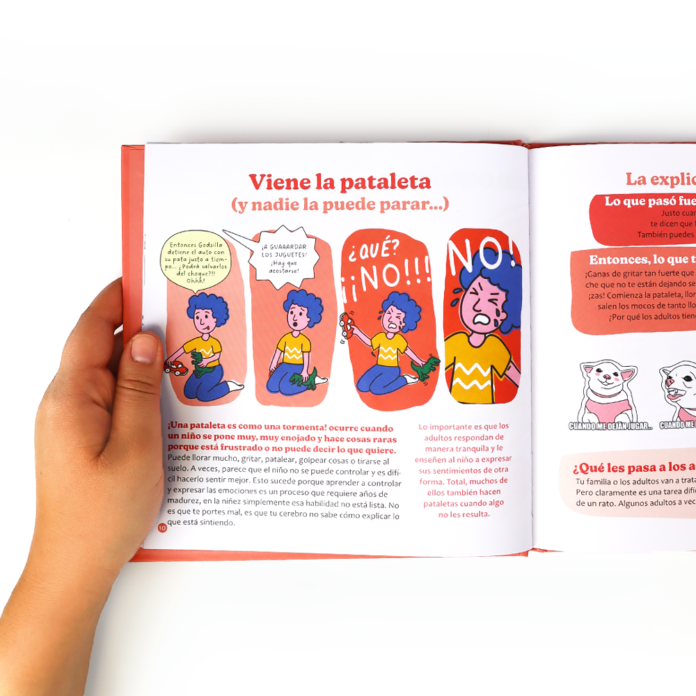 Libro Mis Primeros Problemas - Ayuda para entender la frustración y las dificultades - para niños desde 4 años